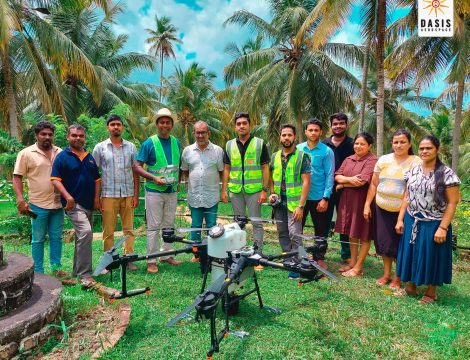 Protecting Coconut Trees from Whitefly Threat - NLDB