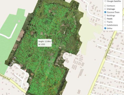 Estate Mapping and Tree Counting - Ceylon Biscuits Limited