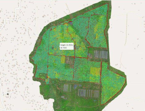 Tree Segmentation - Yara Foods Private Limited