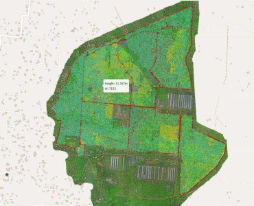 Tree Segmentation - Yara Foods Private Limited