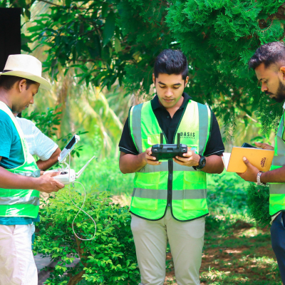 Protecting Coconut Trees from Whitefly Threat - NLDB