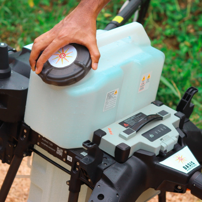 Protecting Coconut Trees from Whitefly Threat - NLDB