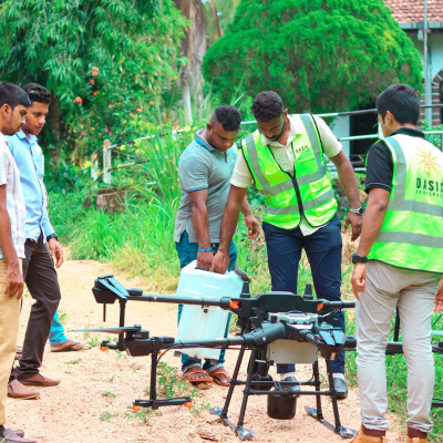 Protecting Coconut Trees from Whitefly Threat - NLDB