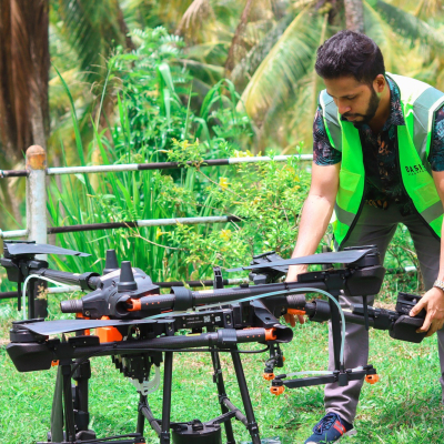 Protecting Coconut Trees from Whitefly Threat - NLDB