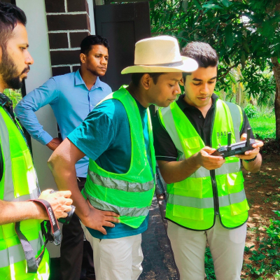 Protecting Coconut Trees from Whitefly Threat - NLDB