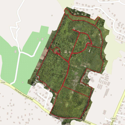Estate Mapping and Tree Counting - Ceylon Biscuits Limited