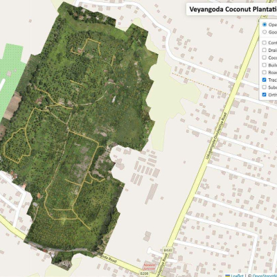 Estate Mapping and Tree Counting - Ceylon Biscuits Limited