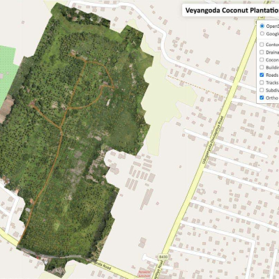Estate Mapping and Tree Counting - Ceylon Biscuits Limited