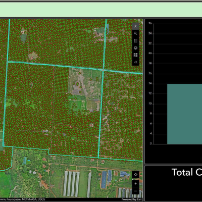 Tree Segmentation - Yara Foods Private Limited