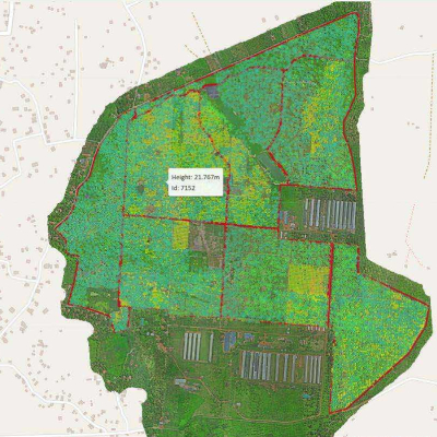 Tree Segmentation - Yara Foods Private Limited